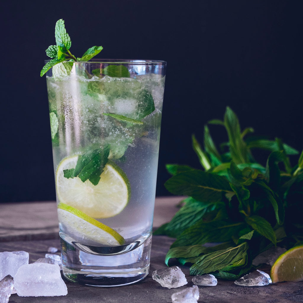 Stainless Steel Muddler